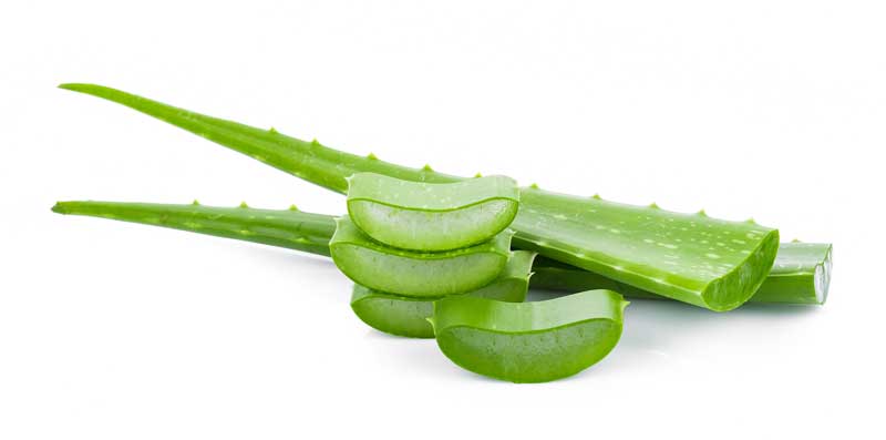 aloe